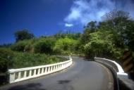Maui road at sunset